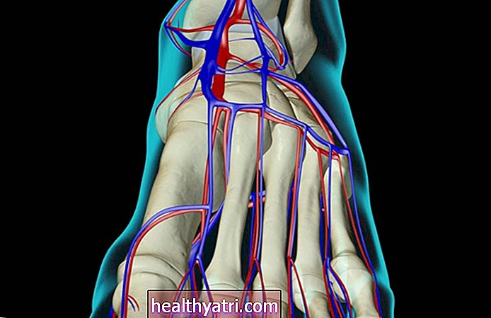Dorsalis Pedis artērijas anatomija