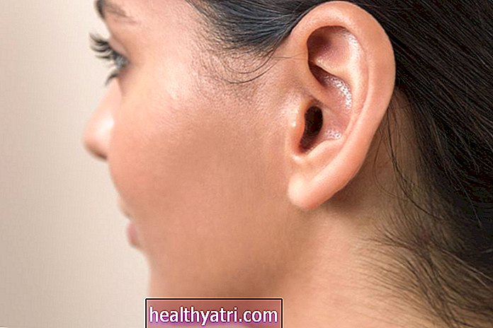 Išorinės ausies anatomija