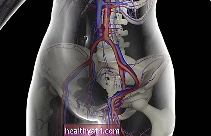 Šlaunikaulio venos anatomija