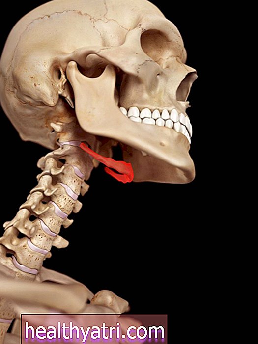 Hyoidinio kaulo anatomija