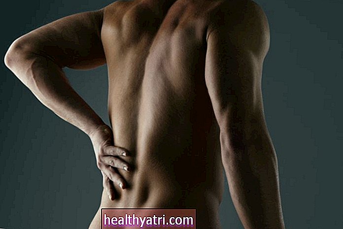Anatómia bedrovej chrbtice