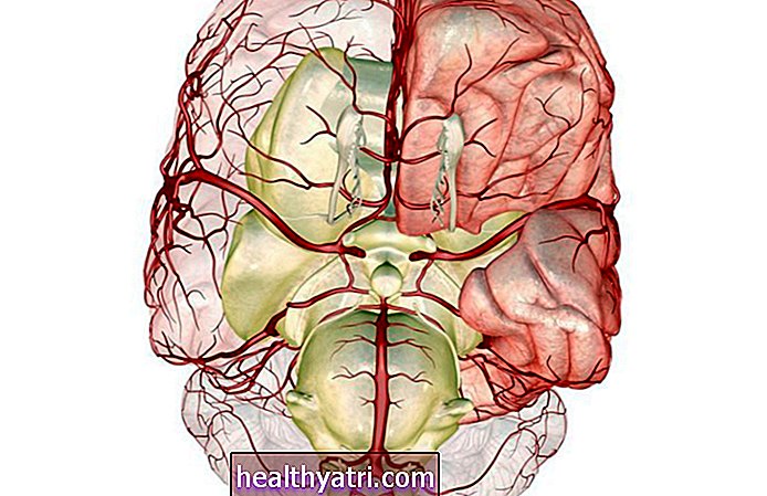 Aizmugurējās artērijas saziņas anatomija (PCOM)