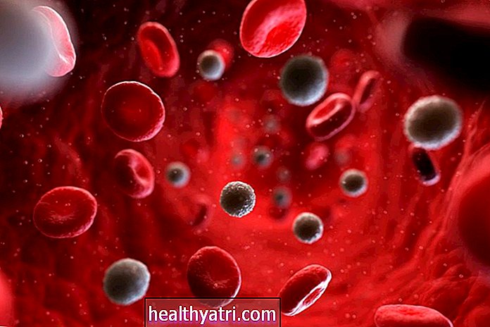 Lær nøyaktig hva indekser for røde blodlegemer kan fortelle deg