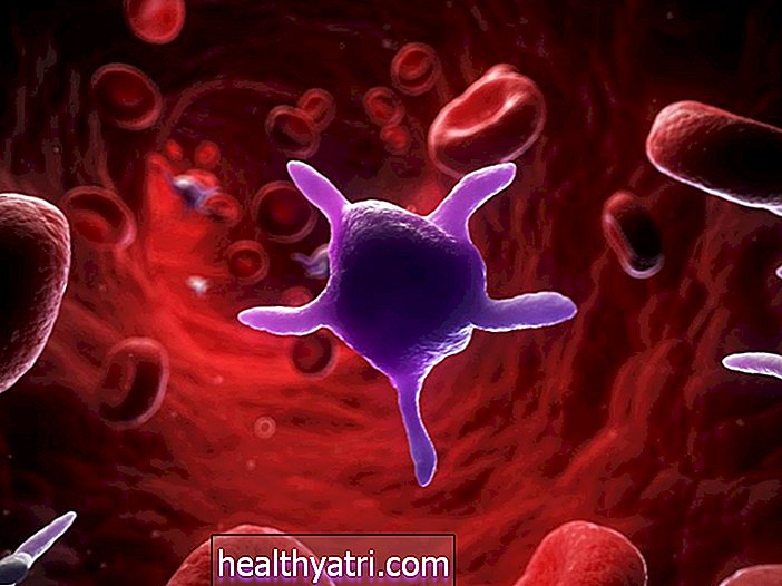 Funkcja płytek krwi lub trombocytów
