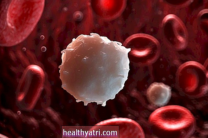 Baltųjų kraujo ląstelių ir imuniteto tipų supratimas