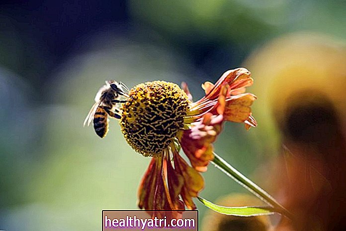 Bičių įgėlimo terapija sergant išsėtine skleroze