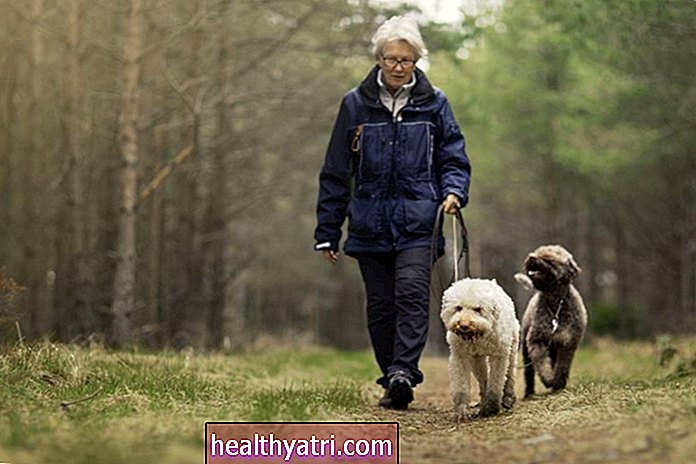 Kaip naminių gyvūnėlių terapija naudinga demencija sergantiems žmonėms?
