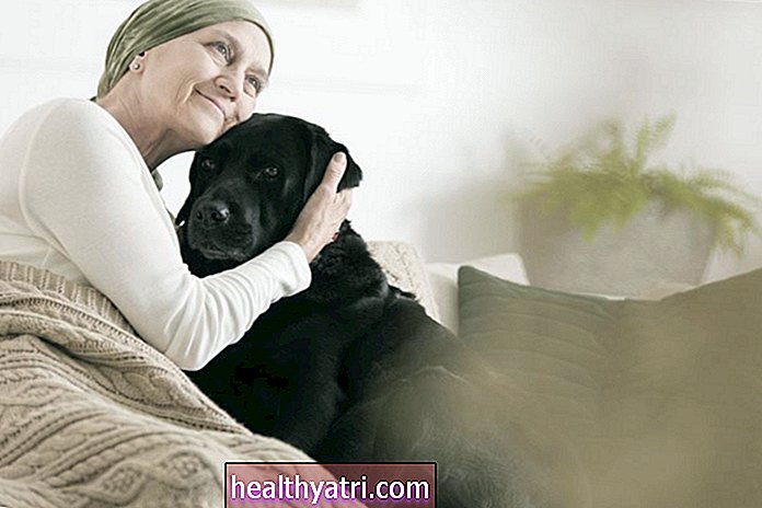 पालतू जानवर रखना जब आप कैंसर का निदान कर रहे हैं