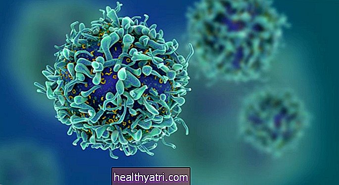 10 cosas principales que debe saber sobre los linfocitos
