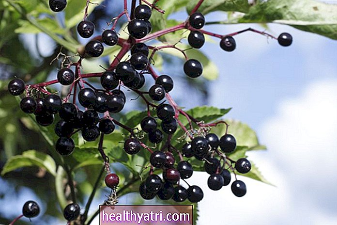 Elderberry tervislik kasu
