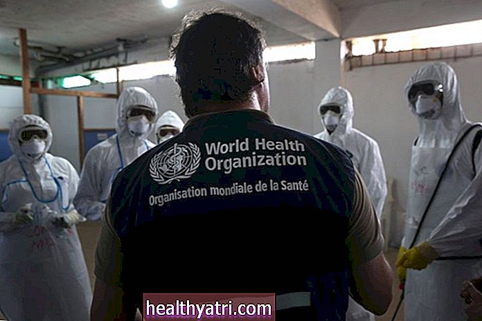 विश्व स्वास्थ्य संगठन क्या है?
