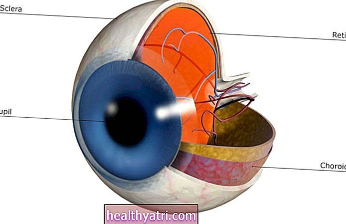 Funksjonen til sclera i et menneskelig øye