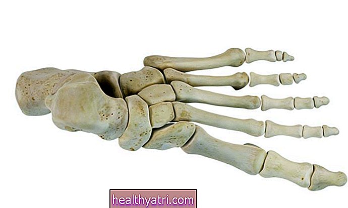 Descripción general de los huesos del tarso en el pie