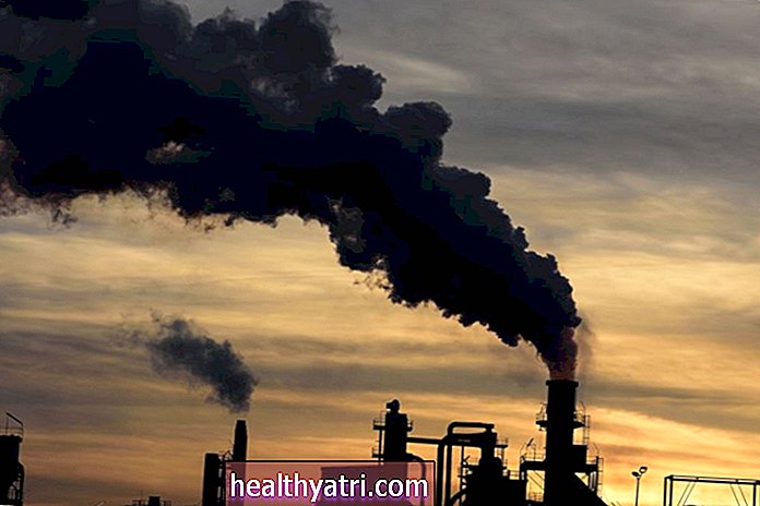 Luftföroreningar kan nå placentan, visar undersökningsresultat