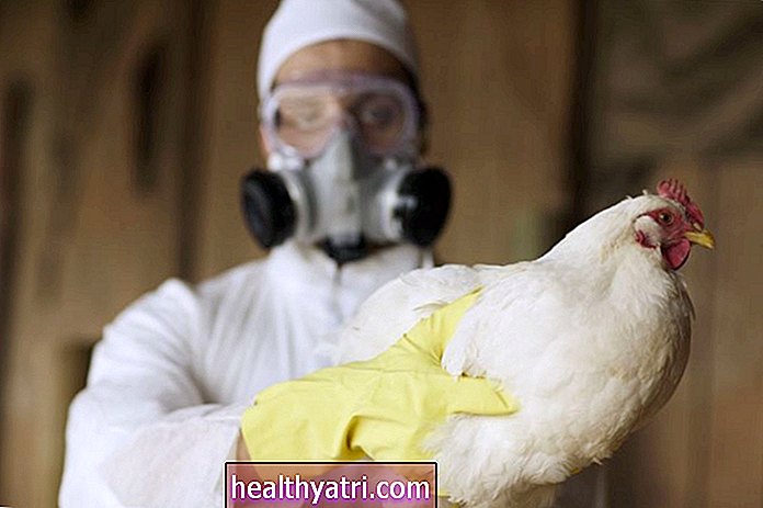 De første tilfellene av H5N8 fugleinfluensa er asymptomatiske - eksperter sier det er lovende