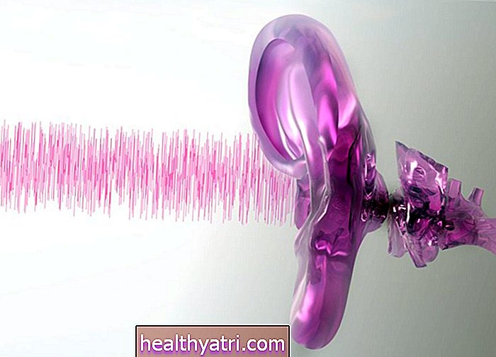 El papel de los huesecillos auditivos en la audición