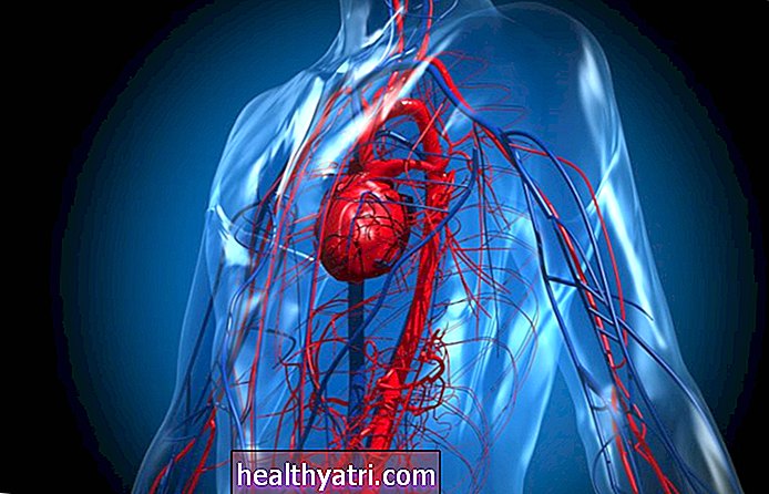 Kuidas veri voolab läbi südame ja kopsude
