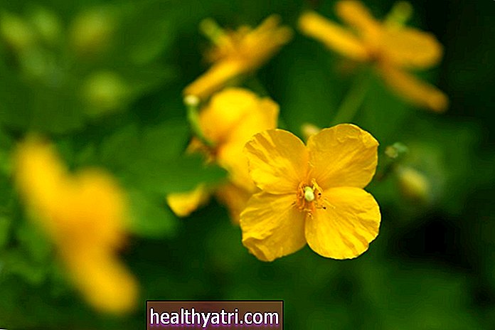 Medicina herbaria y daño hepático