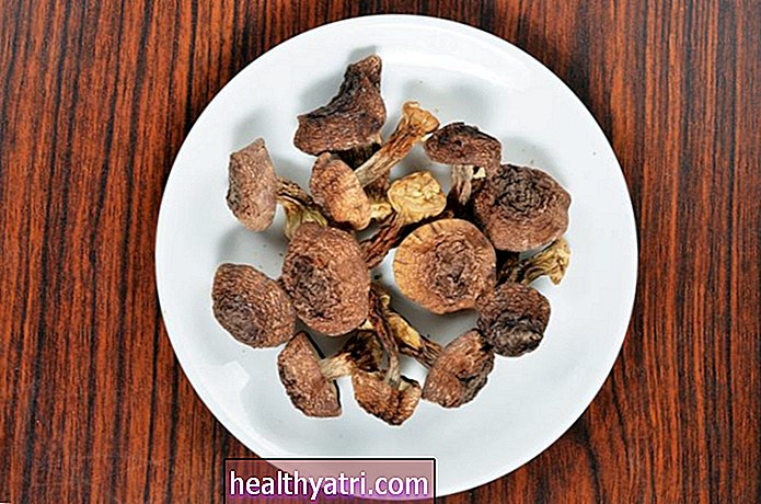 Os benefícios para a saúde do cogumelo Agaricus Blazei