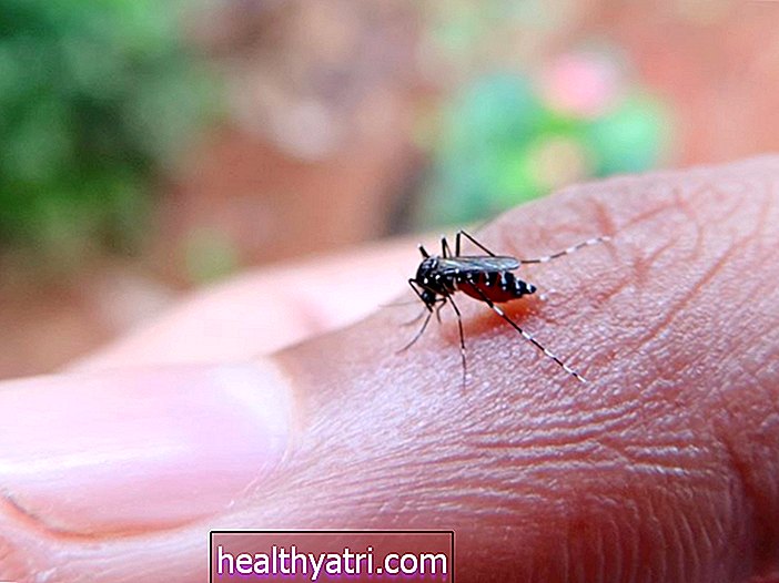 Malārijas cēloņi un riska faktori