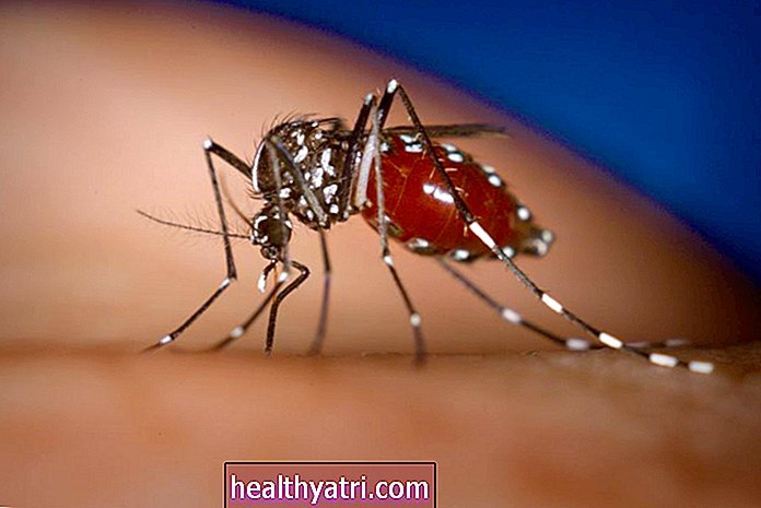 Cómo se ha extendido el Chikungunya en el Nuevo Mundo