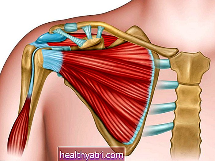 Anatomija ljudskog ramenog zgloba