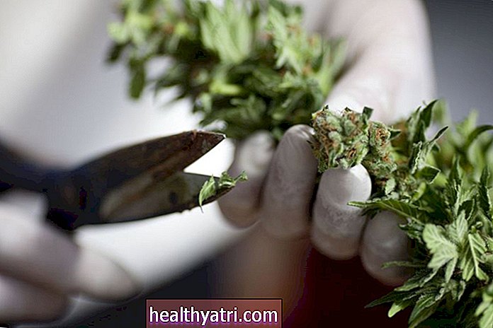 Zákonnost užívání lékařské marihuany k úlevě od bolesti