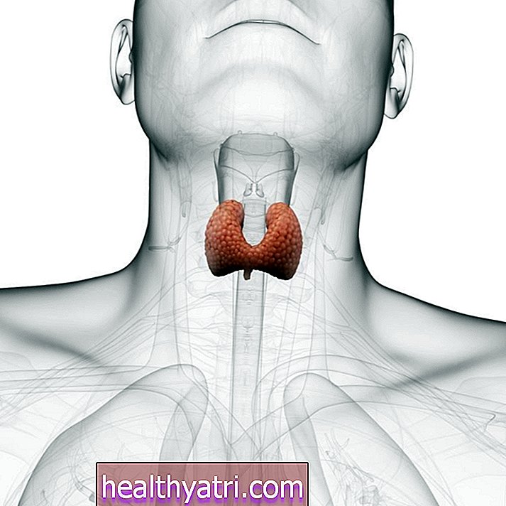 Причини та фактори ризику захворювання щитовидної залози