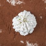 10 Incredible Ways to Utilize Diatomaceous Earth at Home