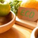 11 Eco-Friendly Methods to Purify Your Indoor Air