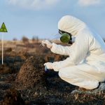 5 Effective Natural Methods for Controlling Pests