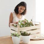 Apartment Gardening: Thriving in Tiny Spaces