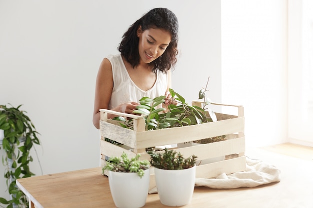 Apartment Gardening: Thriving in Tiny Spaces