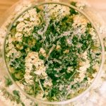 Chamomile: An In-Depth Herbal Overview