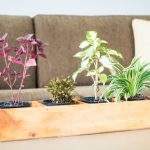 Craft Your Own Planter Box: A Step-by-Step Guide