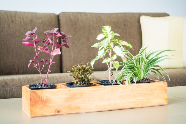 Craft Your Own Planter Box: A Step-by-Step Guide