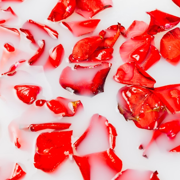 Crafting Your Own Rose Water