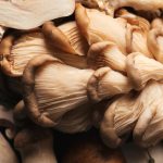 Crafting a Dual-Extraction Mushroom Tincture