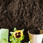 Crafting the Perfect Garden Soil: A Guide