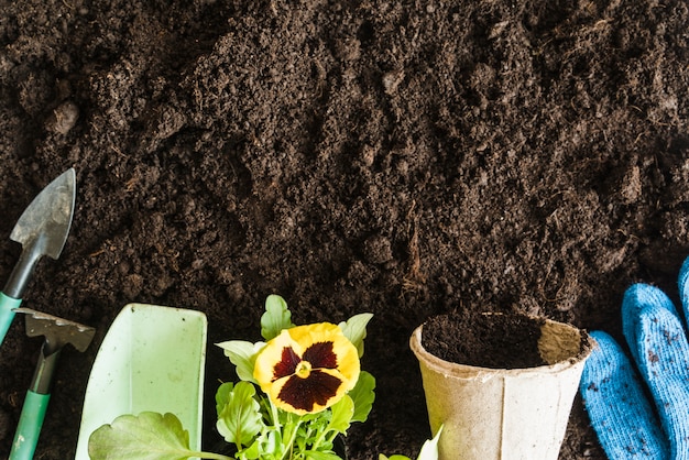 Crafting the Perfect Garden Soil: A Guide