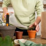 Creating Your Own Indoor Herb Garden in the Kitchen