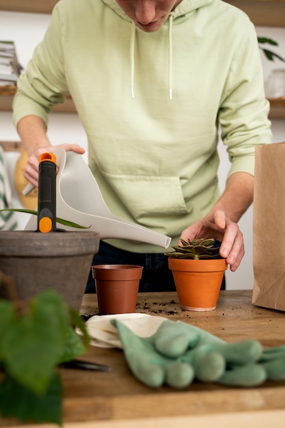 Creating Your Own Indoor Herb Garden in the Kitchen