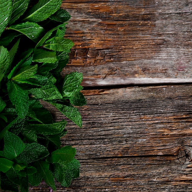 Exploring the Advantages and Applications of Peppermint