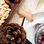 Exploring the Advantages of Astragalus Root