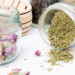 Exploring the Characteristics of Catnip Herb