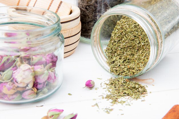 Exploring the Characteristics of Catnip Herb