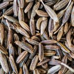 Harnessing the Benefits of Cumin for Digestion, Immune Support, and Beyond