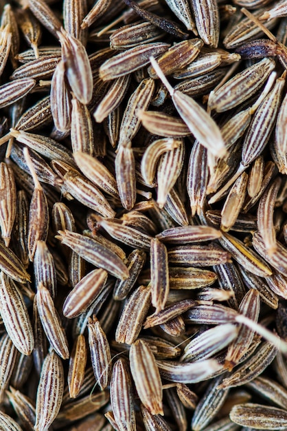 Harnessing the Benefits of Cumin for Digestion, Immune Support, and Beyond