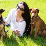 Holistic Puppy Care: Nutrition and Healing Solutions