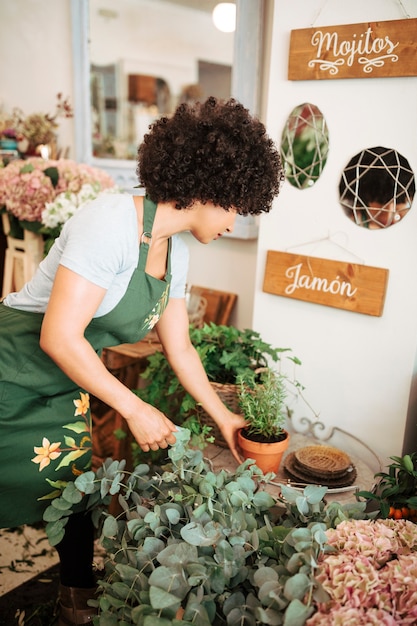 Maximizing Your Harvest: The Art of Vertical Gardening in Compact Areas